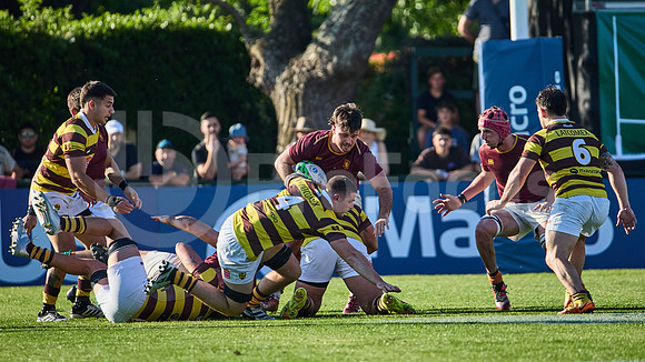 Semifinal - URBA Top 12 Copa Macro - Newman ante Belgrano Athletic 27 a 28