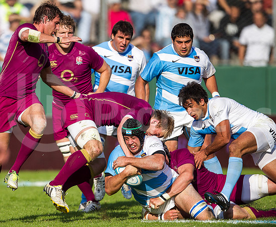 PUMAS VS INGLATERRA (SALTA)