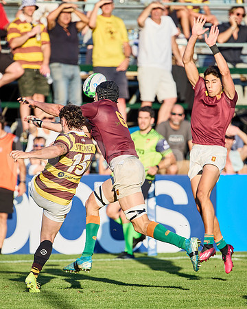 Semifinal - URBA Top 12 Copa Macro - Newman ante Belgrano Athletic 27 a 28