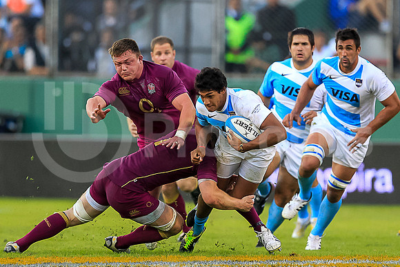 PUMAS VS INGLATERRA (SALTA)