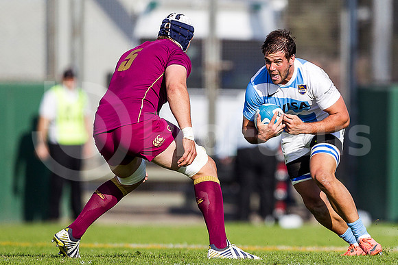 PUMAS VS INGLATERRA (SALTA)