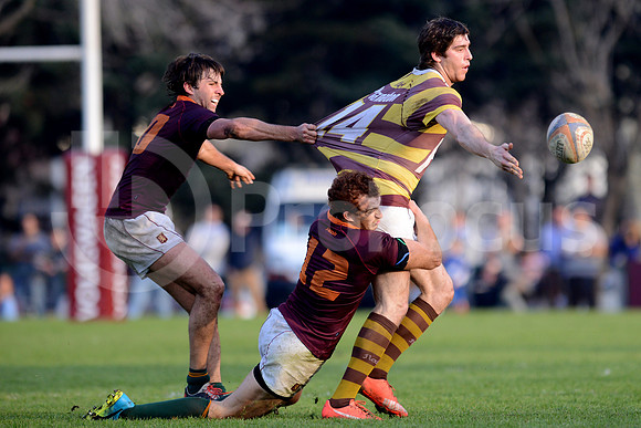 URBA TOP14 2016