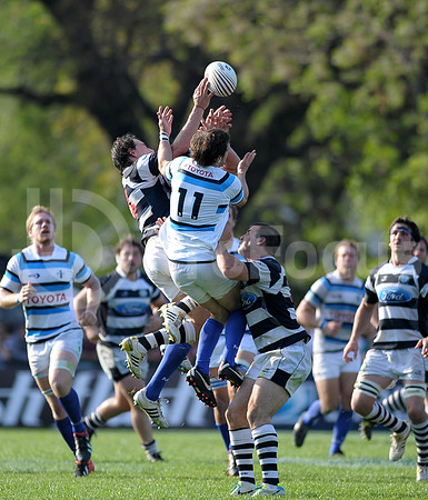 URBA TOP 14