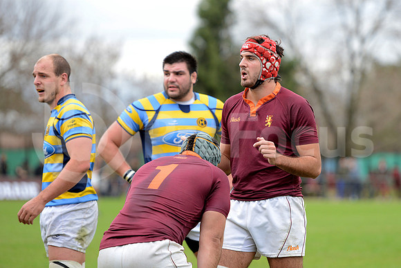 URBA TOP 14 2013