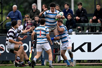 M 17 SIC 56 vs CASI 16