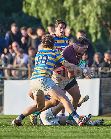 URBA Top 12 Copa Macro: Hindú vs Newman 22 a 40