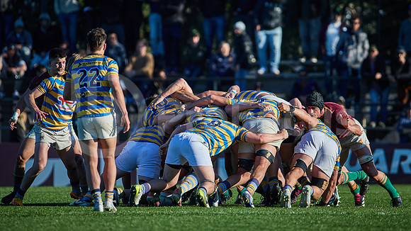 Fecha 19 - URBA Top 12 Copa Macro - Newman ante Hindú 40 a 7