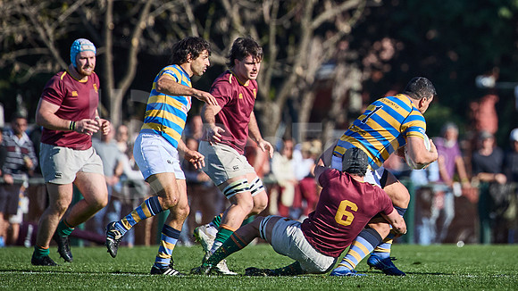 Fecha 19 - URBA Top 12 Copa Macro - Newman ante Hindú 40 a 7