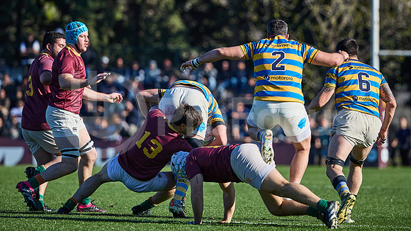 Fecha 19 - URBA Top 12 Copa Macro - Newman ante Hindú 40 a 7
