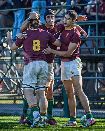Fecha 19 - URBA Top 12 Copa Macro - Newman ante Hindú 40 a 7