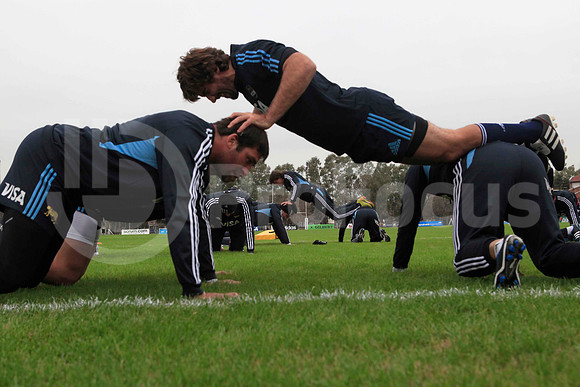 Entrenamiento / Training Pumas