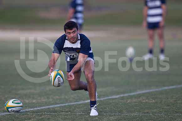 Entrenamiento / Training Pumas