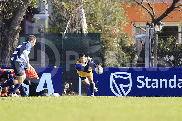 Entrenamiento / Training Pumas