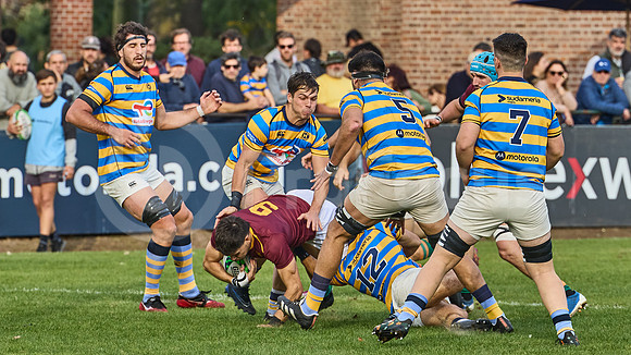URBA Top 12 Copa Macro: Hindú vs Newman 22 a 40
