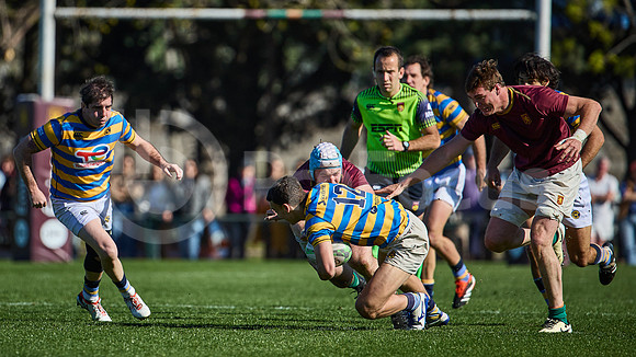 Fecha 19 - URBA Top 12 Copa Macro - Newman ante Hindú 40 a 7