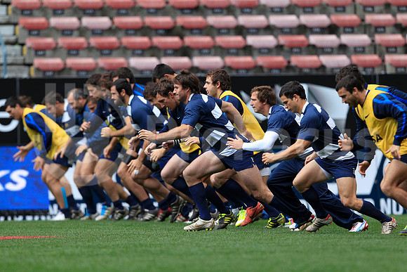 Entrenamiento / Training Pumas
