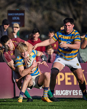 Fecha 19 - URBA Top 12 Copa Macro - Newman ante Hindú 40 a 7