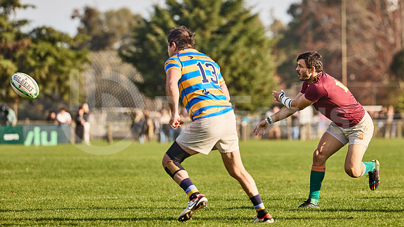 URBA Top 12 Copa Macro: Hindú vs Newman 22 a 40