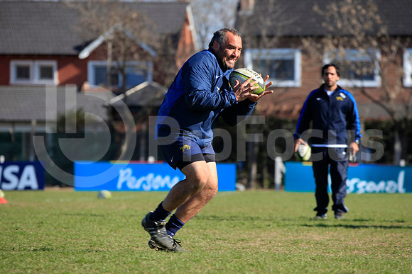 Entrenamiento / Training Pumas