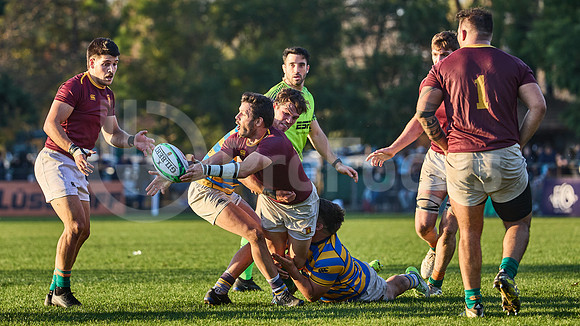 URBA Top 12 Copa Macro: Hindú vs Newman 22 a 40