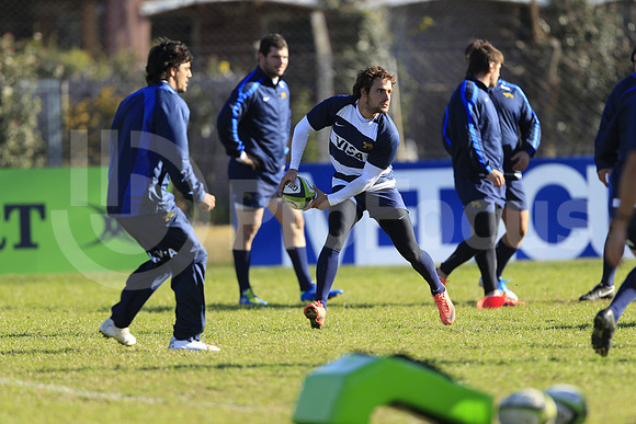 Entrenamiento / Training Pumas