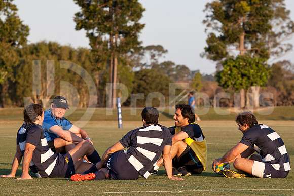 Entrenamiento / Training Pumas