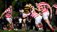 M 19 ALUMNI 26 vs BELGRANO 24