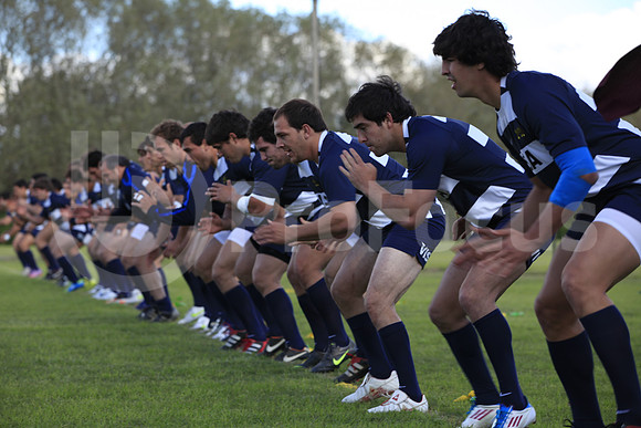 Entrenamiento / Training Pumas