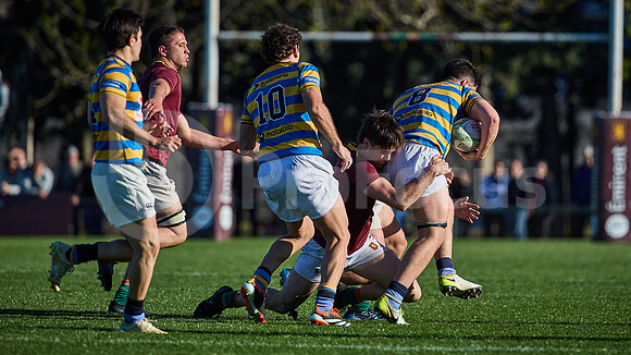 Fecha 19 - URBA Top 12 Copa Macro - Newman ante Hindú 40 a 7
