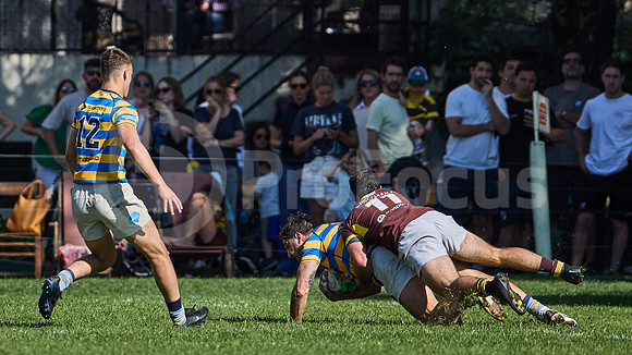 URBA Top 12 - Fecha 21 - Belgrano Athletic vs Hindú 42 a 29