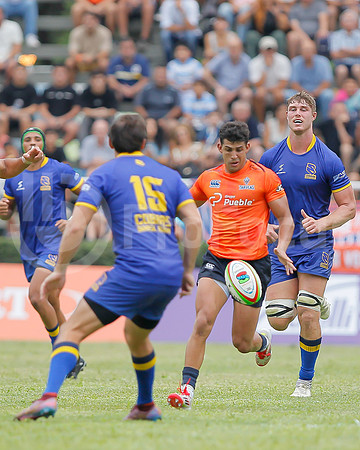 Súper Rugby de las Américas 2025 - Tarucas vs  Cobra