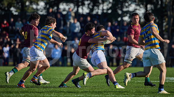 Fecha 19 - URBA Top 12 Copa Macro - Newman ante Hindú 40 a 7