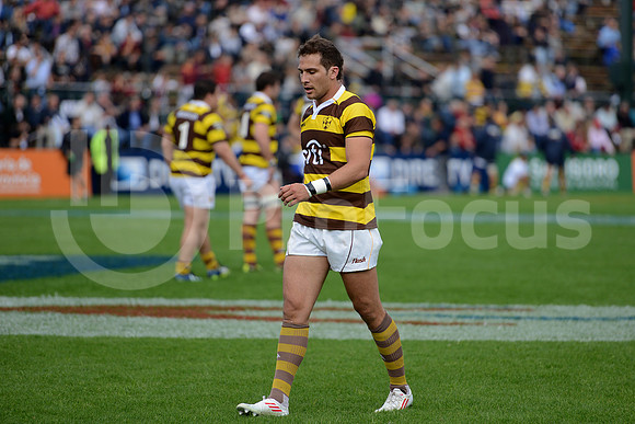 URBA TOP 14 2013