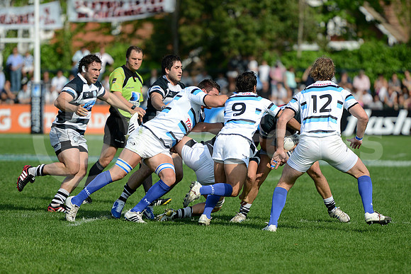 URBA TOP 14