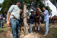 Final 120°Abierto Polo Hurlingham