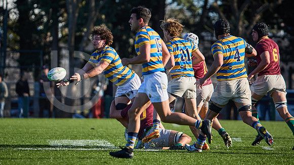 Fecha 19 - URBA Top 12 Copa Macro - Newman ante Hindú 40 a 7