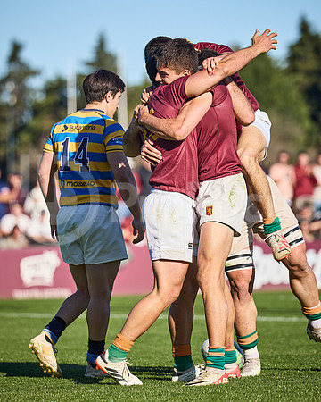 Fecha 19 - URBA Top 12 Copa Macro - Newman ante Hindú 40 a 7