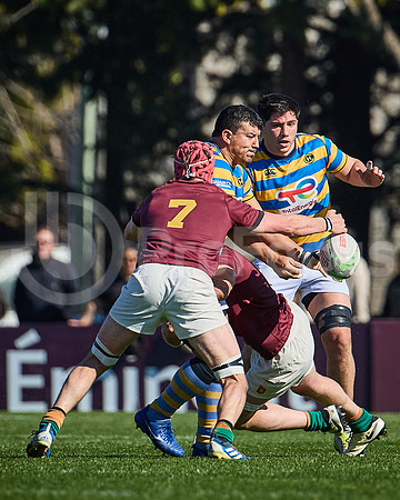 Fecha 19 - URBA Top 12 Copa Macro - Newman ante Hindú 40 a 7