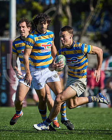 Fecha 19 - URBA Top 12 Copa Macro - Newman ante Hindú 40 a 7