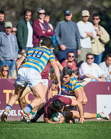 Fecha 19 - URBA Top 12 Copa Macro - Newman ante Hindú 40 a 7