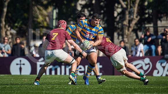 Fecha 19 - URBA Top 12 Copa Macro - Newman ante Hindú 40 a 7