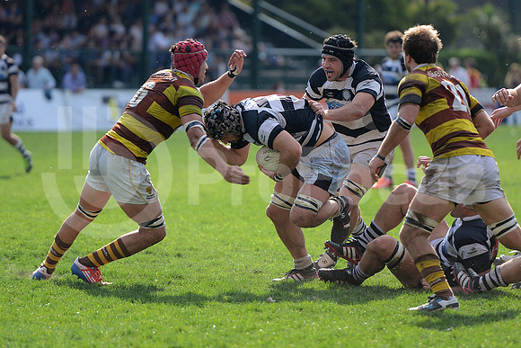 URBA Intermedia 2013