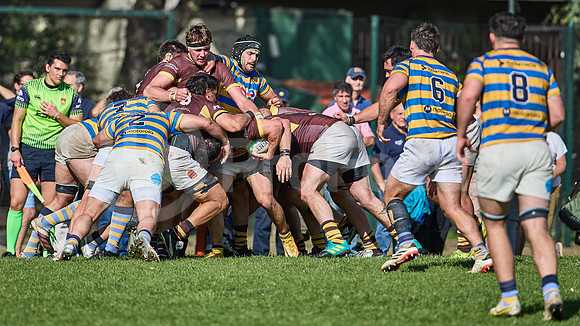 URBA Top 12 - Fecha 21 - Belgrano Athletic vs Hindú 42 a 29
