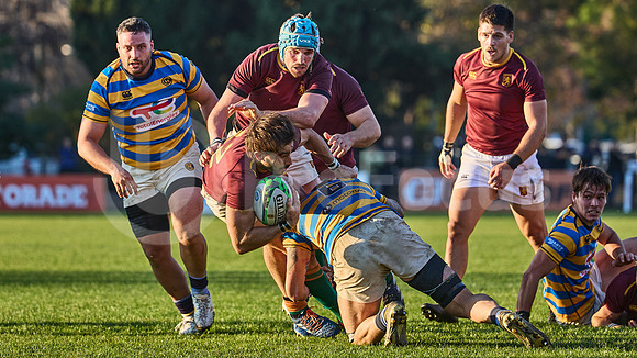 URBA Top 12 Copa Macro: Hindú vs Newman 22 a 40