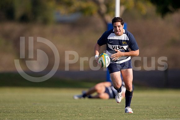 Entrenamiento / Training Pumas