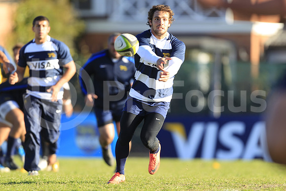 Entrenamiento / Training Pumas