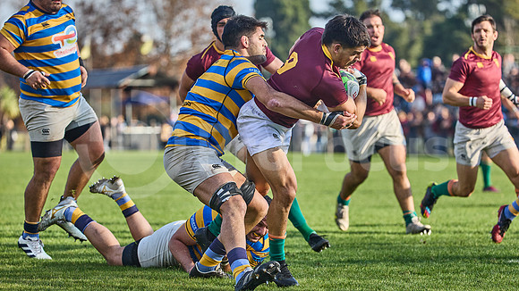 URBA Top 12 Copa Macro: Hindú vs Newman 22 a 40