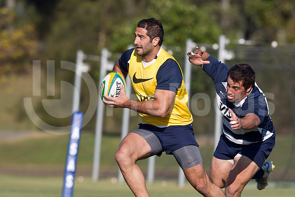 Entrenamiento / Training Pumas