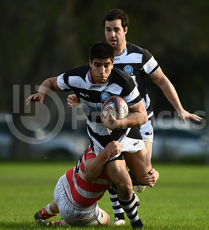 URBA Top12 2018.
