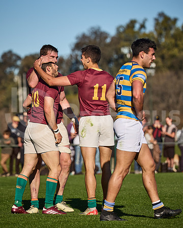 Fecha 19 - URBA Top 12 Copa Macro - Newman ante Hindú 40 a 7